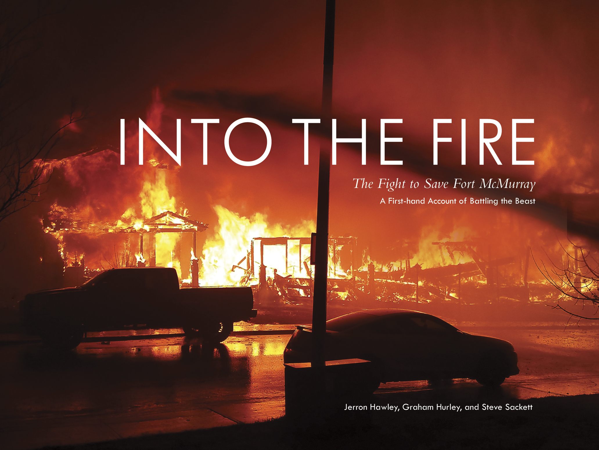 INTO THE FIRE - photo 1