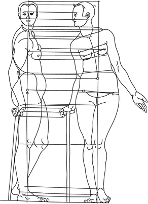 Fig 6 Drawing by Albert Drer of ideal female body XVI Century Drer a - photo 6