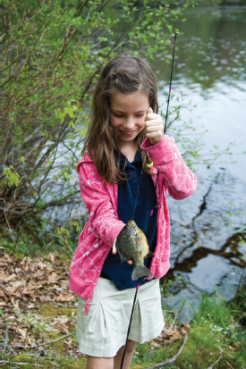 Gillian catches a pumpkinseed on her own fishing pole Gillian is our daughter - photo 6