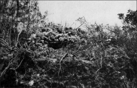 This machine-gun position was constructed of limestone rocks blended into the - photo 4