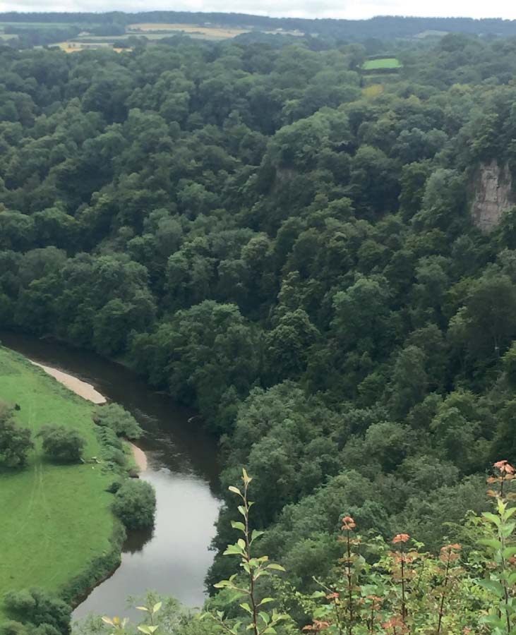 Symonds Yat today a few miles above Tintern Abbey with woods sylvan river - photo 15