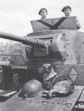 The T-26 was a license-built copy of the British Vickers 6-ton export tank but - photo 5