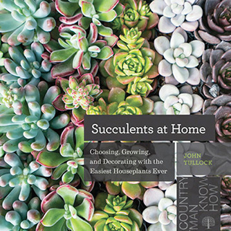 Succulents at Home Appalachian Cooking Grow Food at Home Simple Methods - photo 2