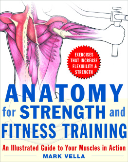 Mark Vella - Anatomy for Strength and Fitness Training : An Illustrated Guide to Your Muscles in Action