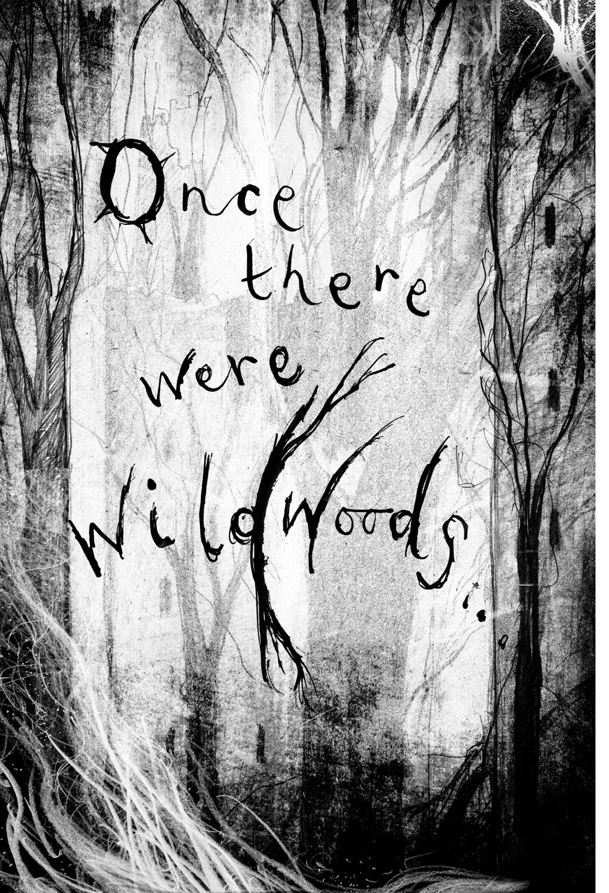 O nce there were wildwoods The Wizards had lived in the wildwoods for as long - photo 6