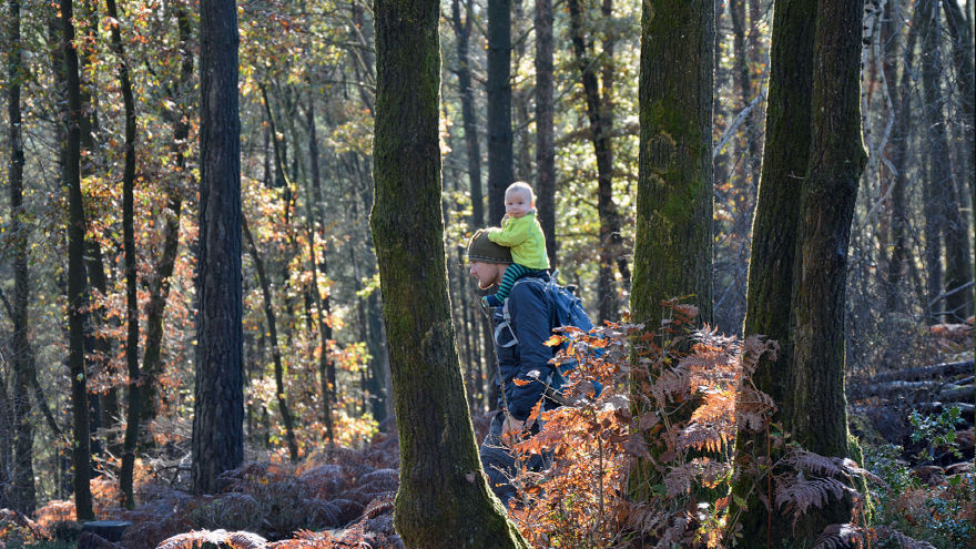 A woodland walk in the Surrey Hills Being outdoors is great for families - photo 3