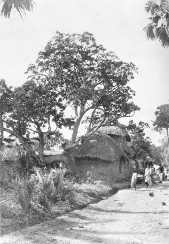 Rmakrishnas birthplace of Kmrpukur Holy Mother Srad Dev Calcutta November - photo 2