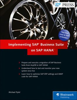 Michael Pytel - Implementing SAP Business Suite on SAP HANA