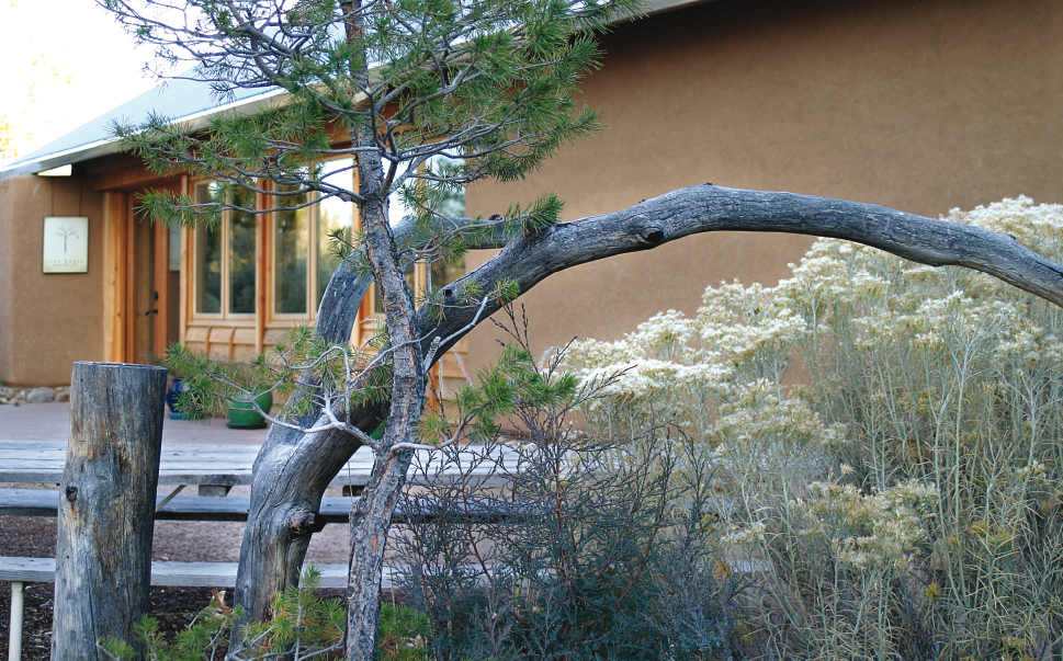 An external earth plaster makes this building blend into its natural - photo 7