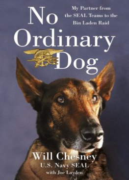 Will Chesney No Ordinary Dog