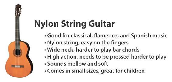 Steel String Guitar aka Acoustic Guitar Electric Guitar Acoustic Electric - photo 2