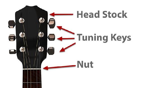The Headstock of a guitar is located in top of the guitar and holds your Tuning - photo 6