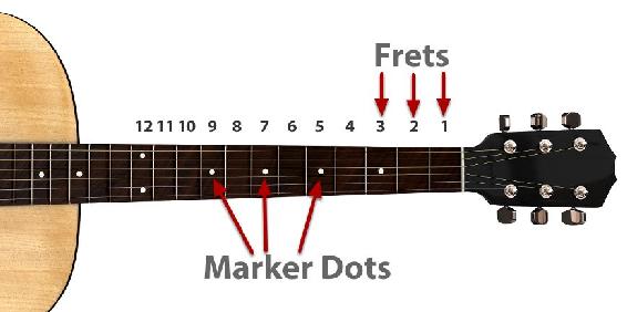 The Fretboard contains individual Frets Each Fret have less space between them - photo 7