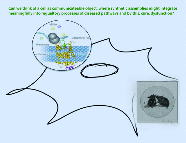 Fig 11 Cartoon of a eukaryotic cell with a graphic inset of an artificial - photo 3