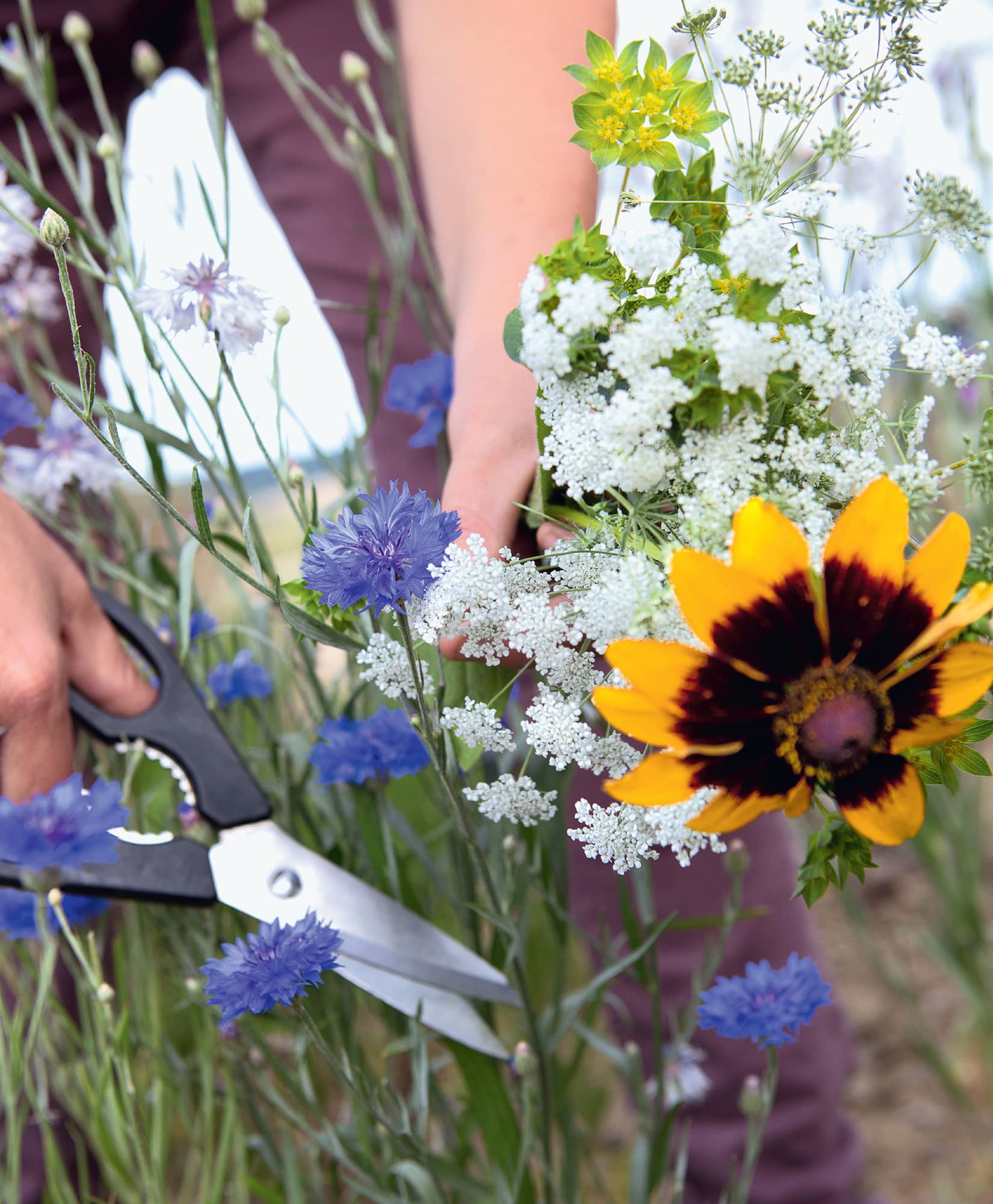 Gardening on a Shoestring 100 fun upcycled garden projects Alex Mitchell - photo 2