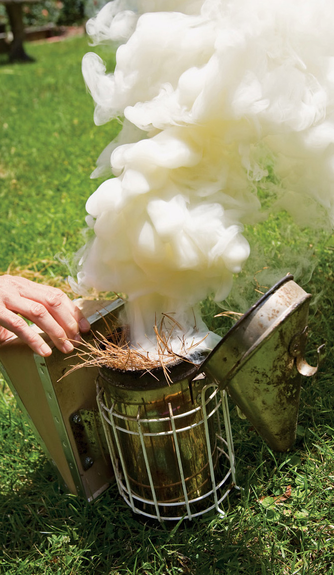 Mary prepares her smoker Like most modern beehives Marys consist of several - photo 5