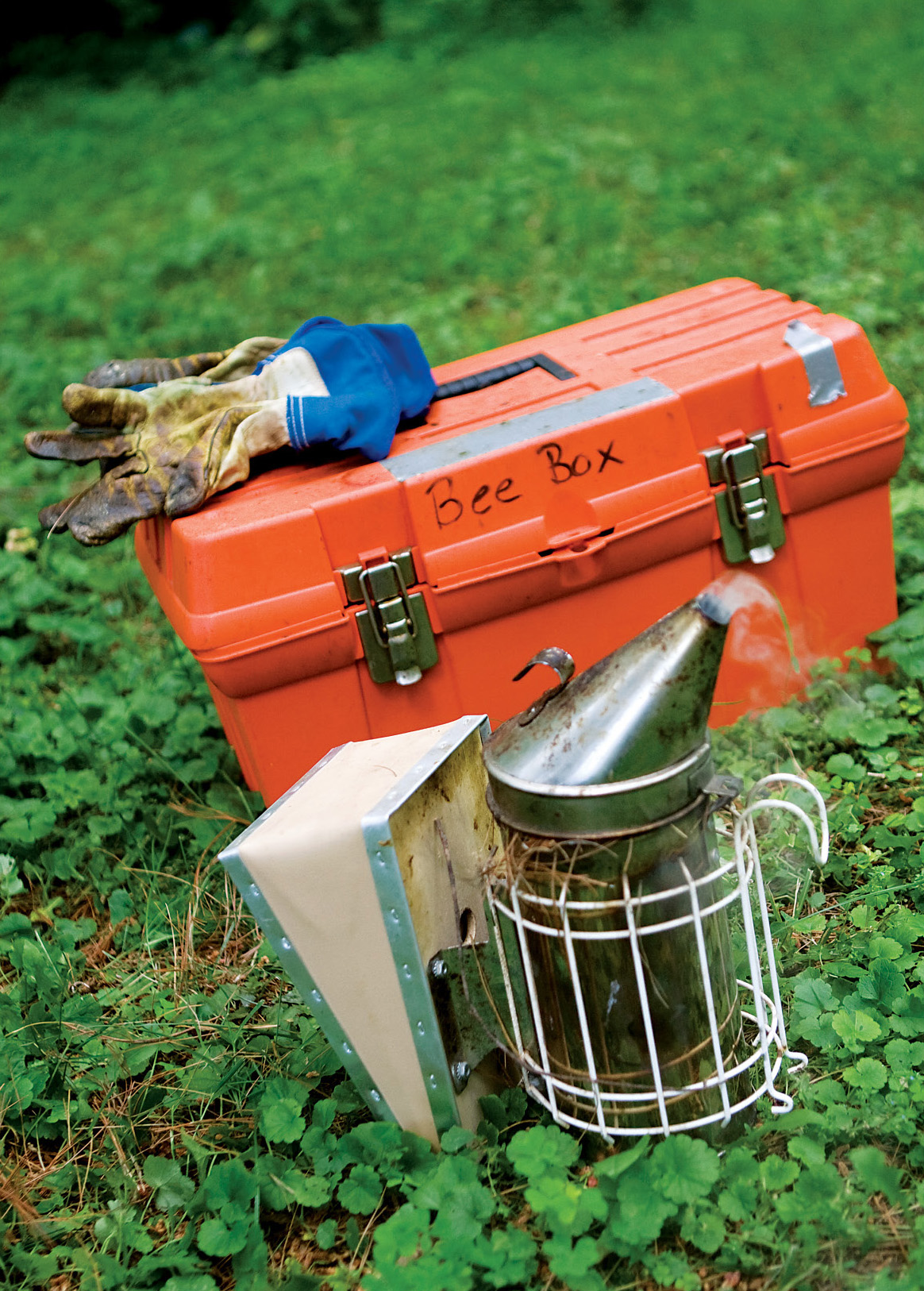 Mary keeps a box of tools a pair of gloves and a lit smoker nearby whenever - photo 4