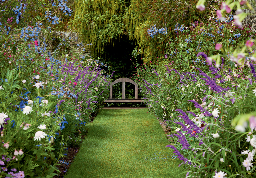 The spectacular rill garden at Coleton Fishacre is one of the gardens I manage - photo 2