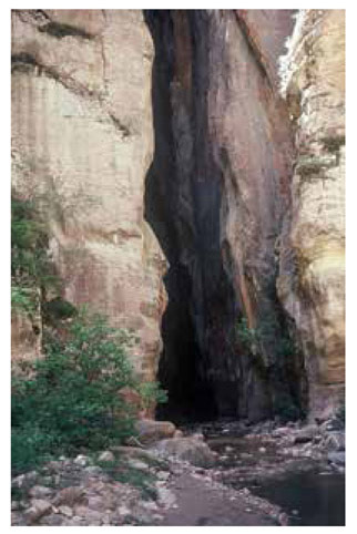 The Virgin River Narrows is one of the most iconic walks in the national parks - photo 8