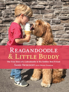 Sandi Swiridoff Reagandoodle and Little Buddy: The True Story of a Labradoodle and His Toddler Best Friend