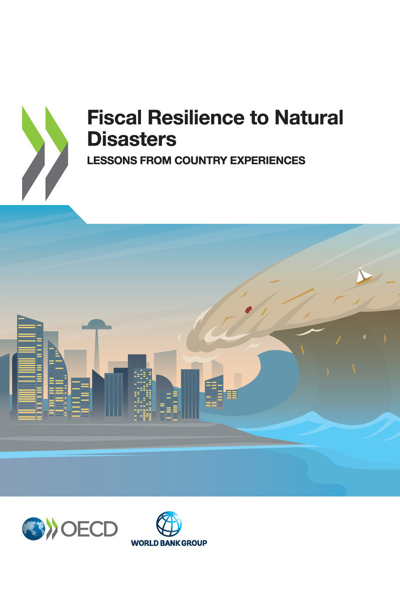 Fiscal Resilience to Natural Disasters Lessons from Country Experiences - photo 1