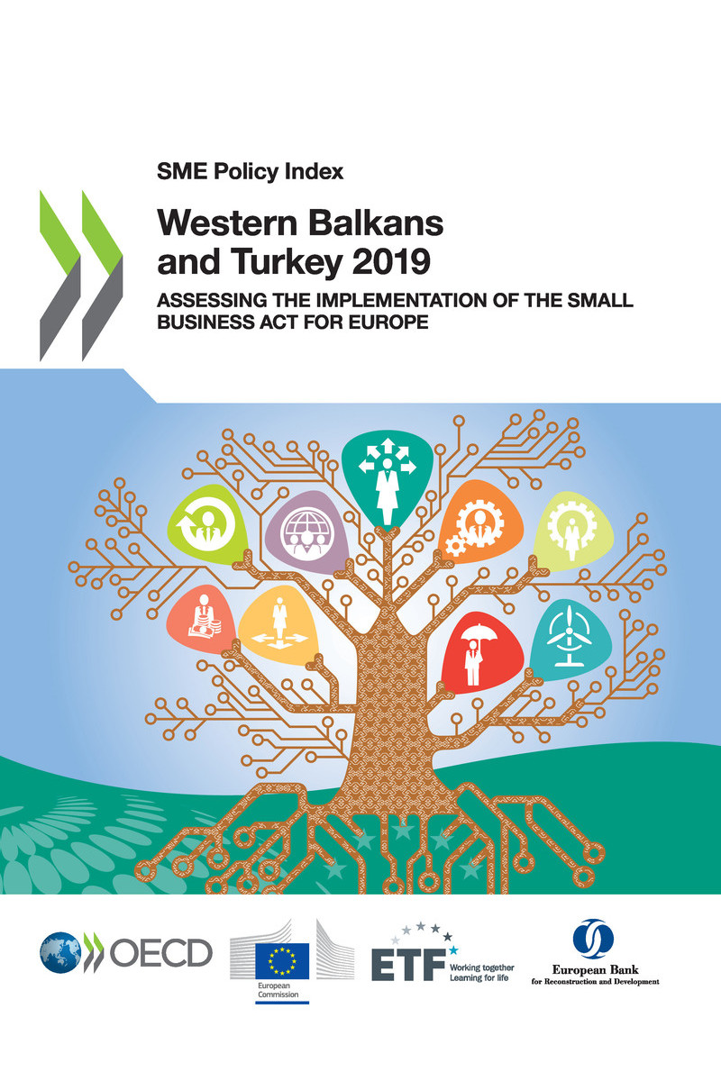 SME Policy Index Western Balkans and Turkey 2019 Assessing the Implementation - photo 1