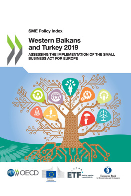 OECD SME Policy Index: Western Balkans and Turkey 2019