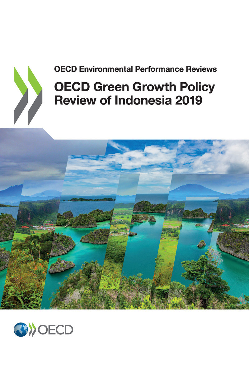 OECD Environmental Performance Reviews OECD Green Growth Policy Review of - photo 1