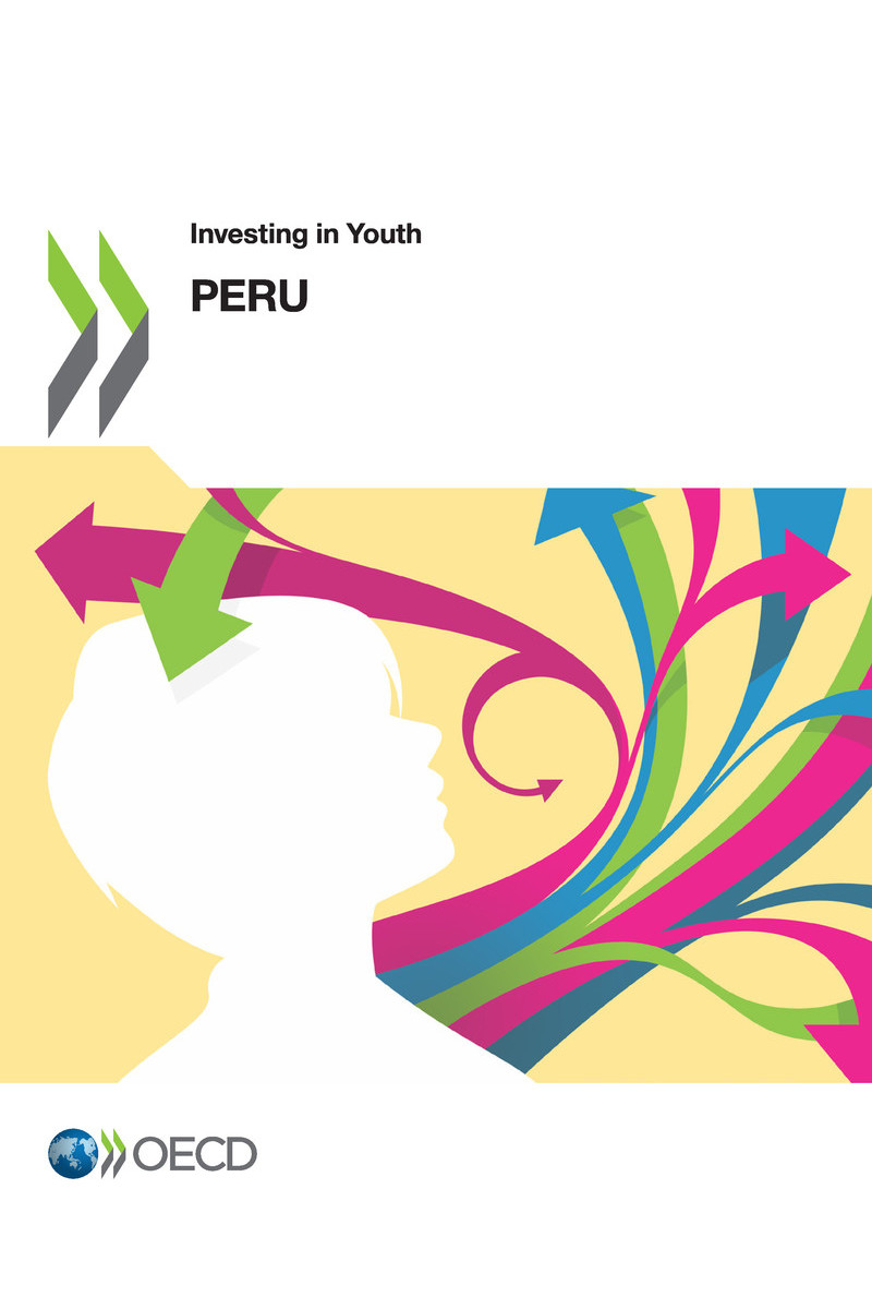 Investing in Youth Peru Please cite this publication as OECD 2019 - photo 1