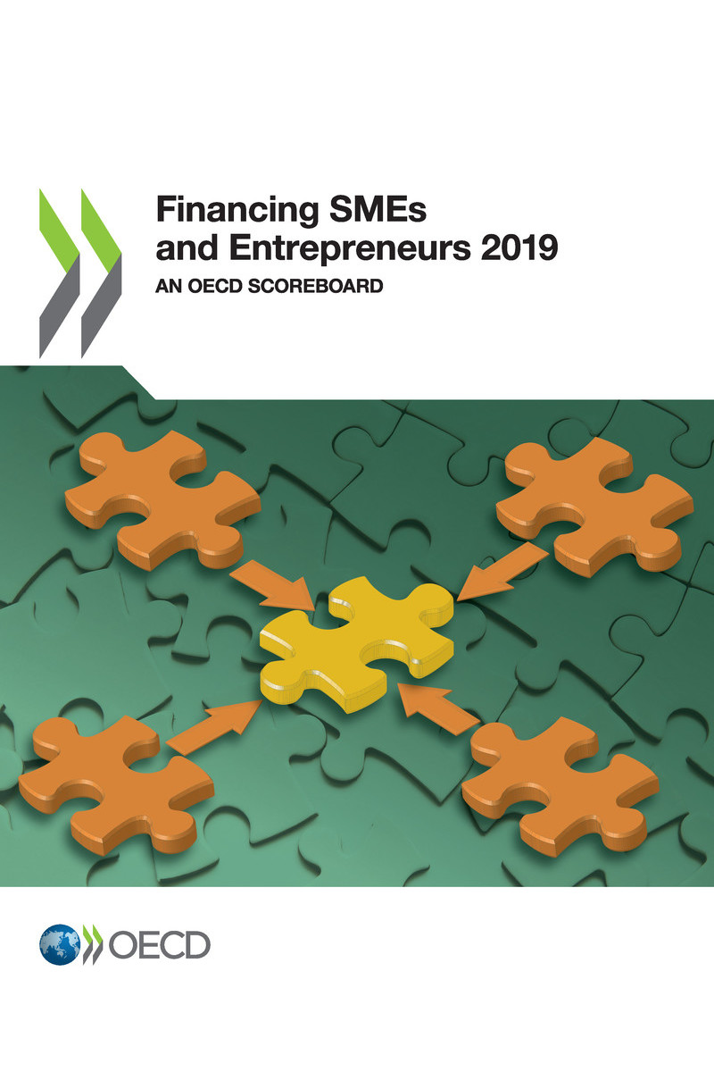 Financing SMEs and Entrepreneurs 2019 An OECD Scoreboard Please cite this - photo 1