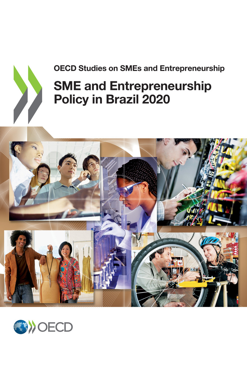 OECD Studies on SMEs and Entrepreneurship SME and Entrepreneurship Policy in - photo 1