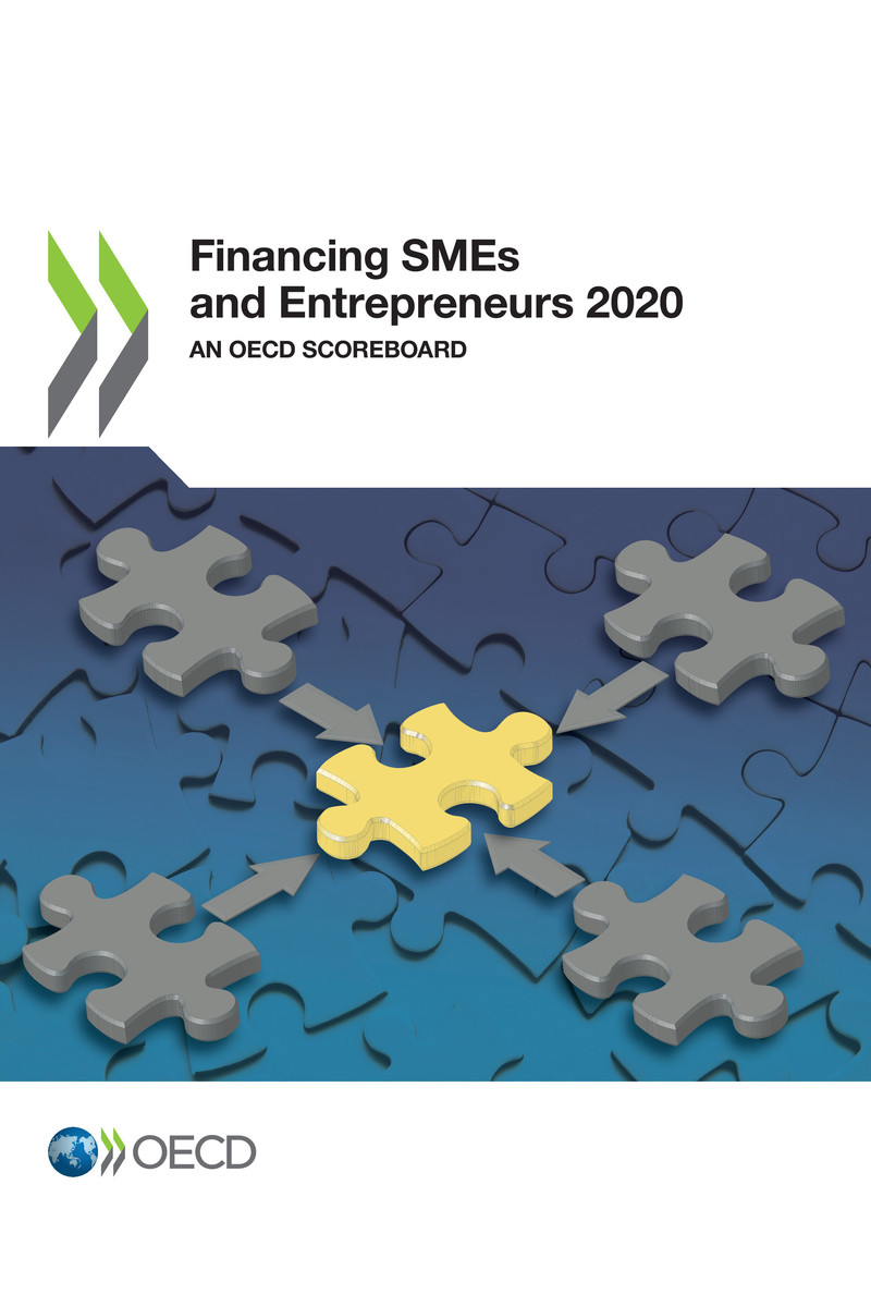 Financing SMEs and Entrepreneurs 2020 An OECD Scoreboard Please cite this - photo 1