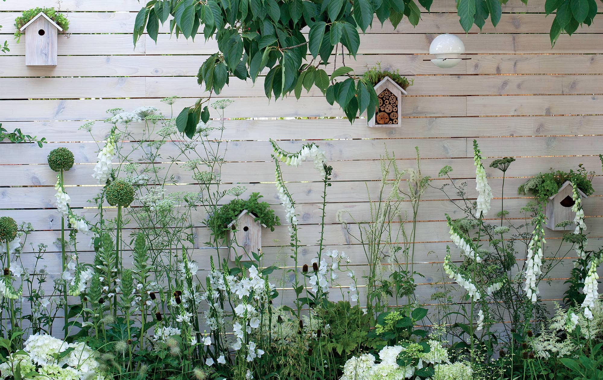 URBAN FLOWERS Creating abundance in a small city garden Carolyn Dunster - photo 3