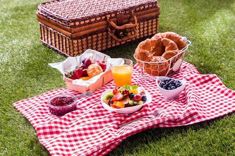 Food is an essential element of a picnic You have to think up a delightful - photo 5