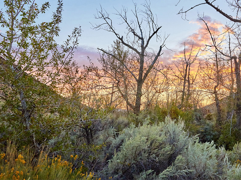 Dawn breaks over a high desert creek lined with sagebrush and cottonwood So - photo 6