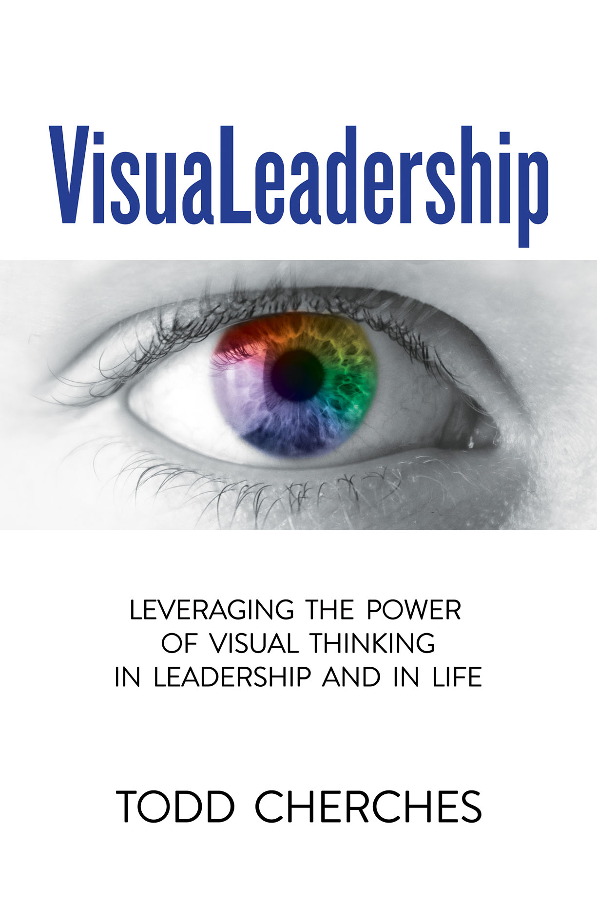 Advance Praise for Todd Cherches and VisuaLeadership Have you added visual - photo 1