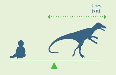 Timeline The period when the dinosaur lived eg Jurassic the epoch within - photo 2