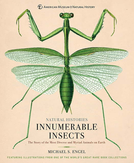 NATURAL HISTORIES INNUMERABLE INSECTS The Story of the Most Diverse and Myriad - photo 1