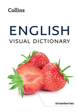 Collins Dictionaries - English Visual Dictionary: A photo guide to everyday words and phrases in English