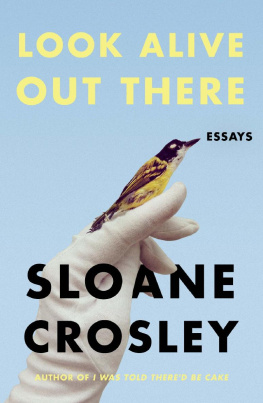 Sloane Crosley - Look Alive Out There