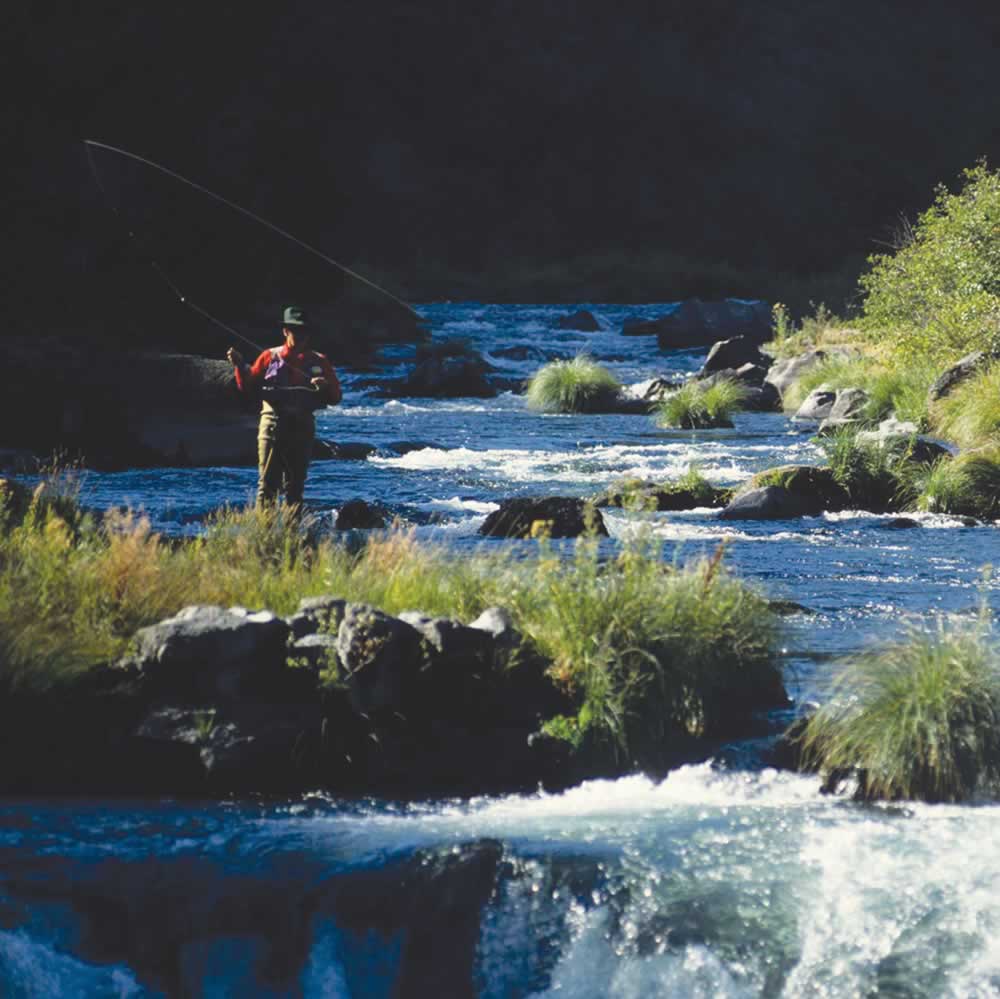 Fishing Observations of a Reel Man - photo 15