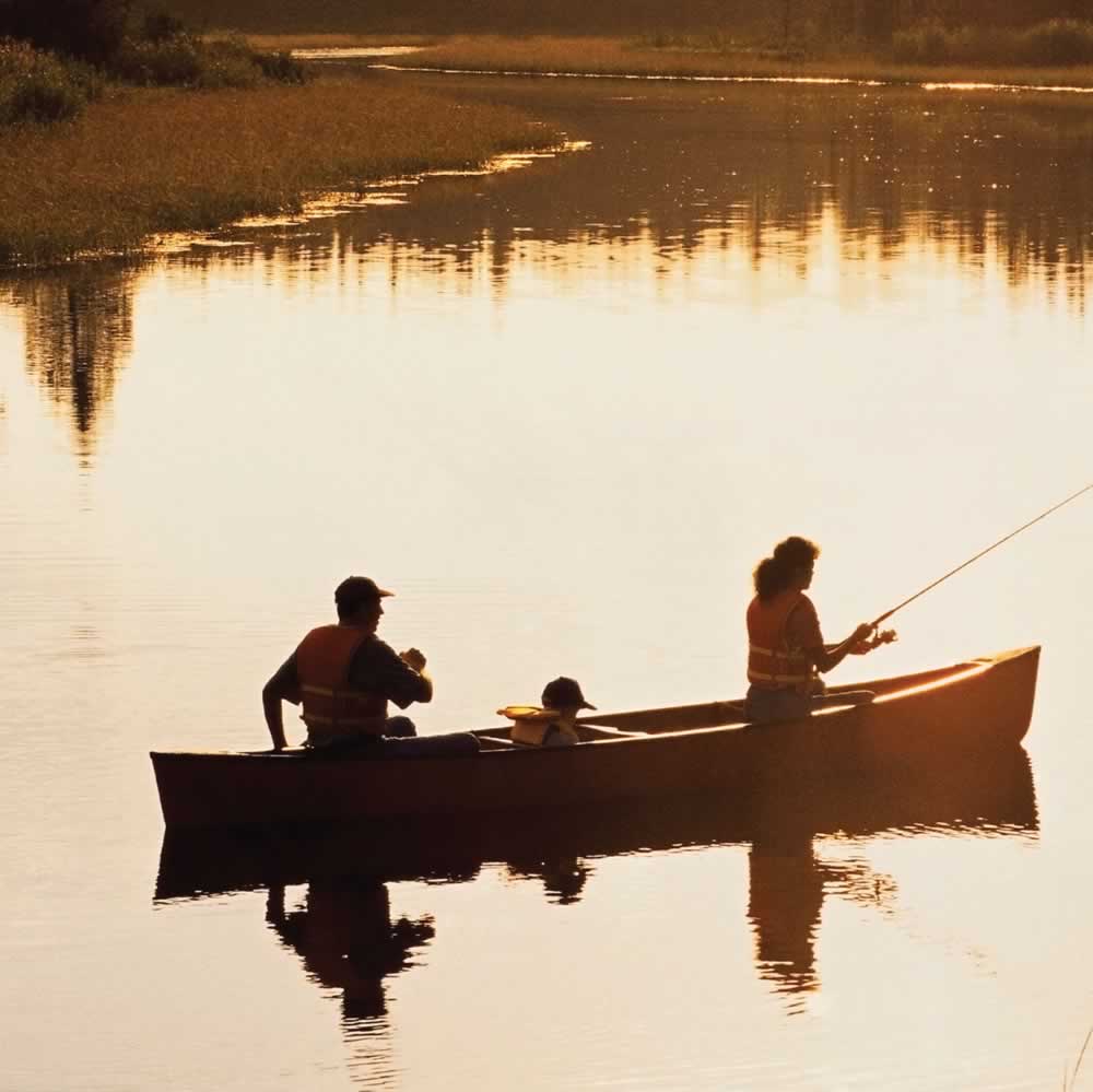 Fishing Observations of a Reel Man - photo 45