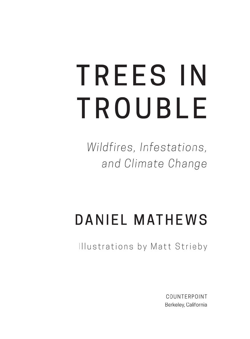 Trees in Trouble Copyright 2020 by Daniel Mathews First hardcover edition - photo 2