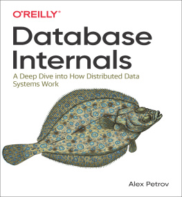 Alex Petrov Database Internals