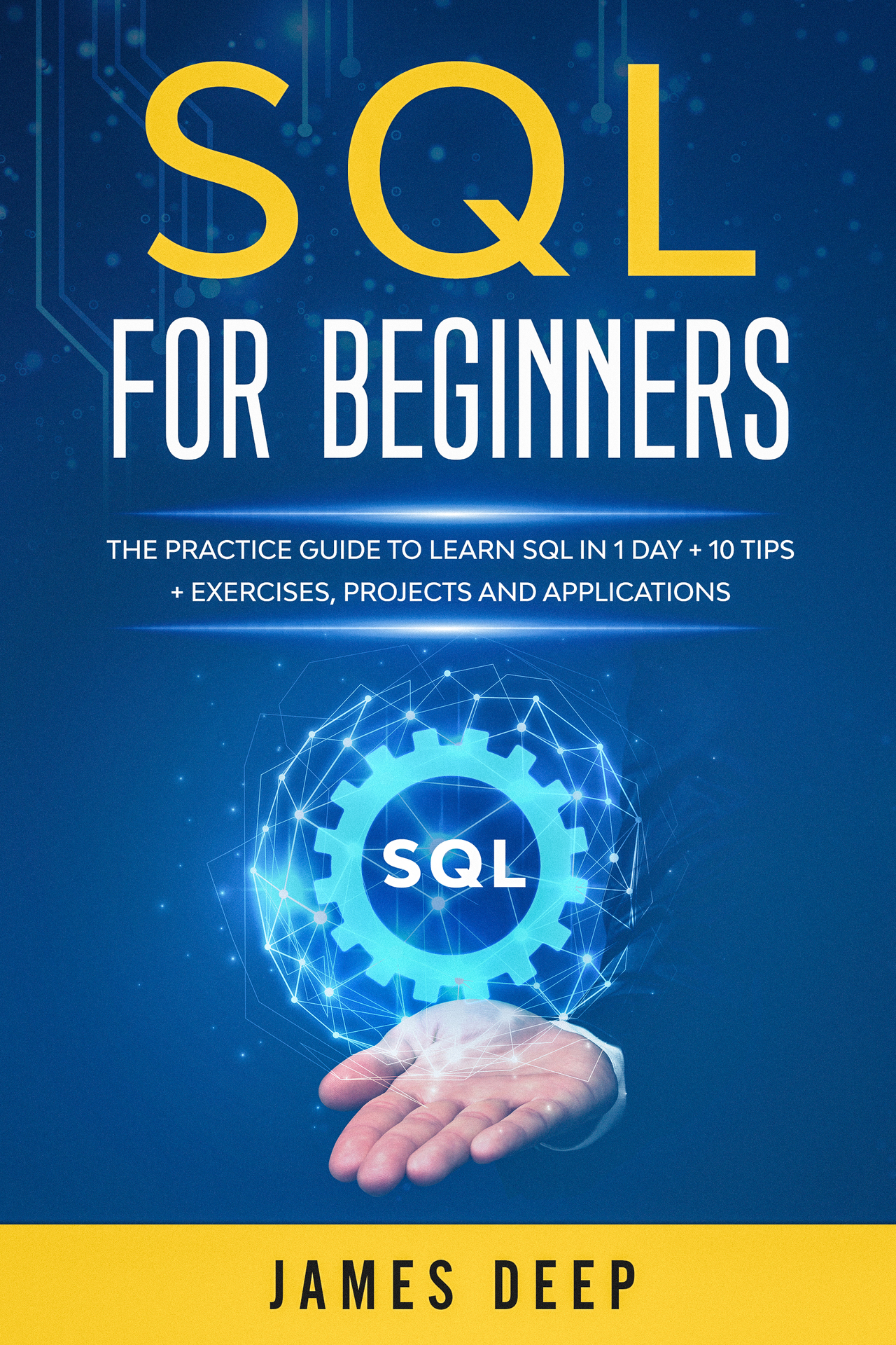 SQL for Beginners The Practice Guide to Learn SQL in 1 Day 10 Tips - photo 1