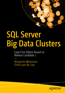 Benjamin Weissman - SQL Server Big Data Clusters: Early First Edition Based on Release Candidate 1