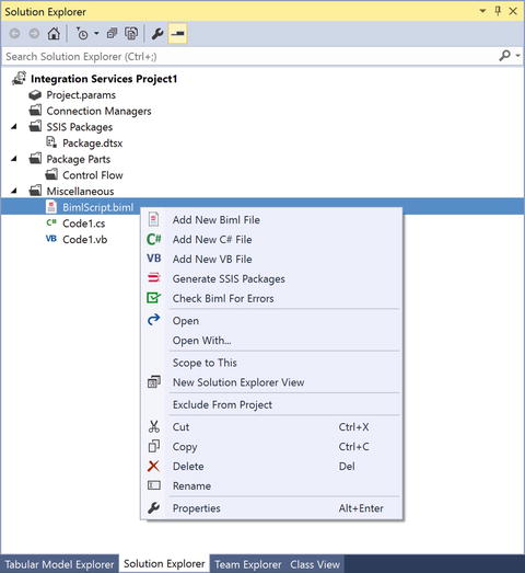 Figure 1-7 BimlExpress Biml context menu BimlOnline BimlOnline shown - photo 7