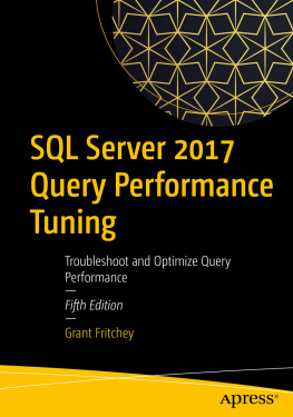 Grant Fritchey - SQL Server 2017 Query Performance Tuning: Troubleshoot and Optimize Query Performance