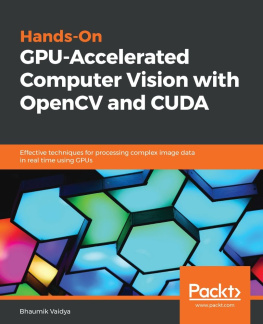 Avimanyu Bandyopadhyay - Hands-On GPU Computing with Python: Explore the capabilities of GPUs for solving high performance computational problems