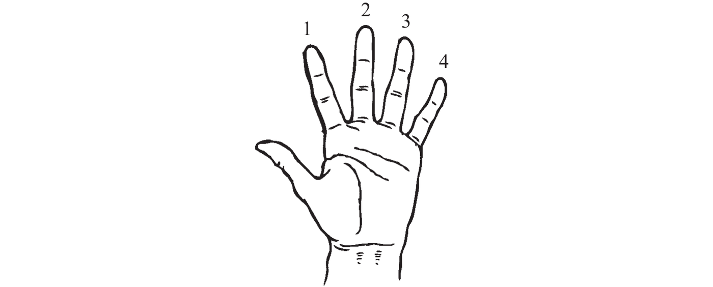 Reading Chord Diagrams Chords are taught in this book by using graphic - photo 6